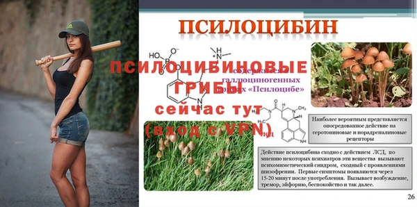 прущий лед Белоозёрский