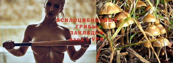 спайс Беломорск