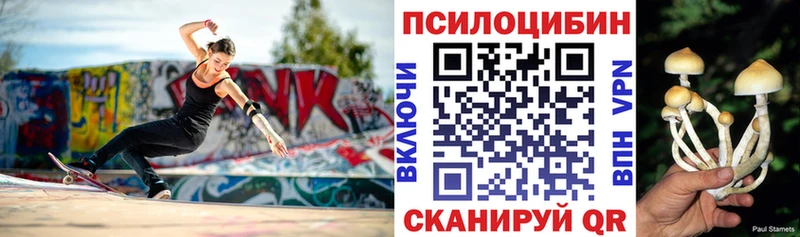 ОМГ ОМГ сайт Онега Псилоцибиновые грибы мицелий